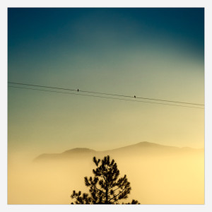 ClausenJQLD-001