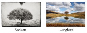 Nevis tree