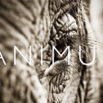 ANIMUS
